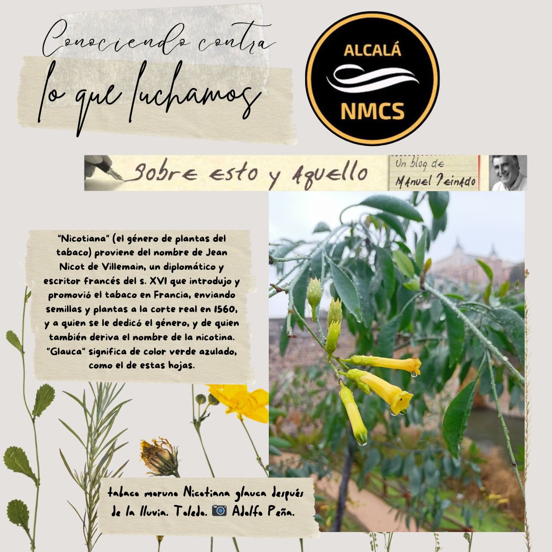 nmcsalcala tweet media