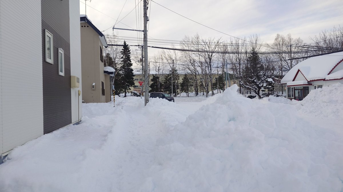 ひろふみ tweet media