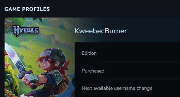 Hytale_Italia's tweet image. I managed to get a tribute to my favorite YouTuber &amp;lt;3