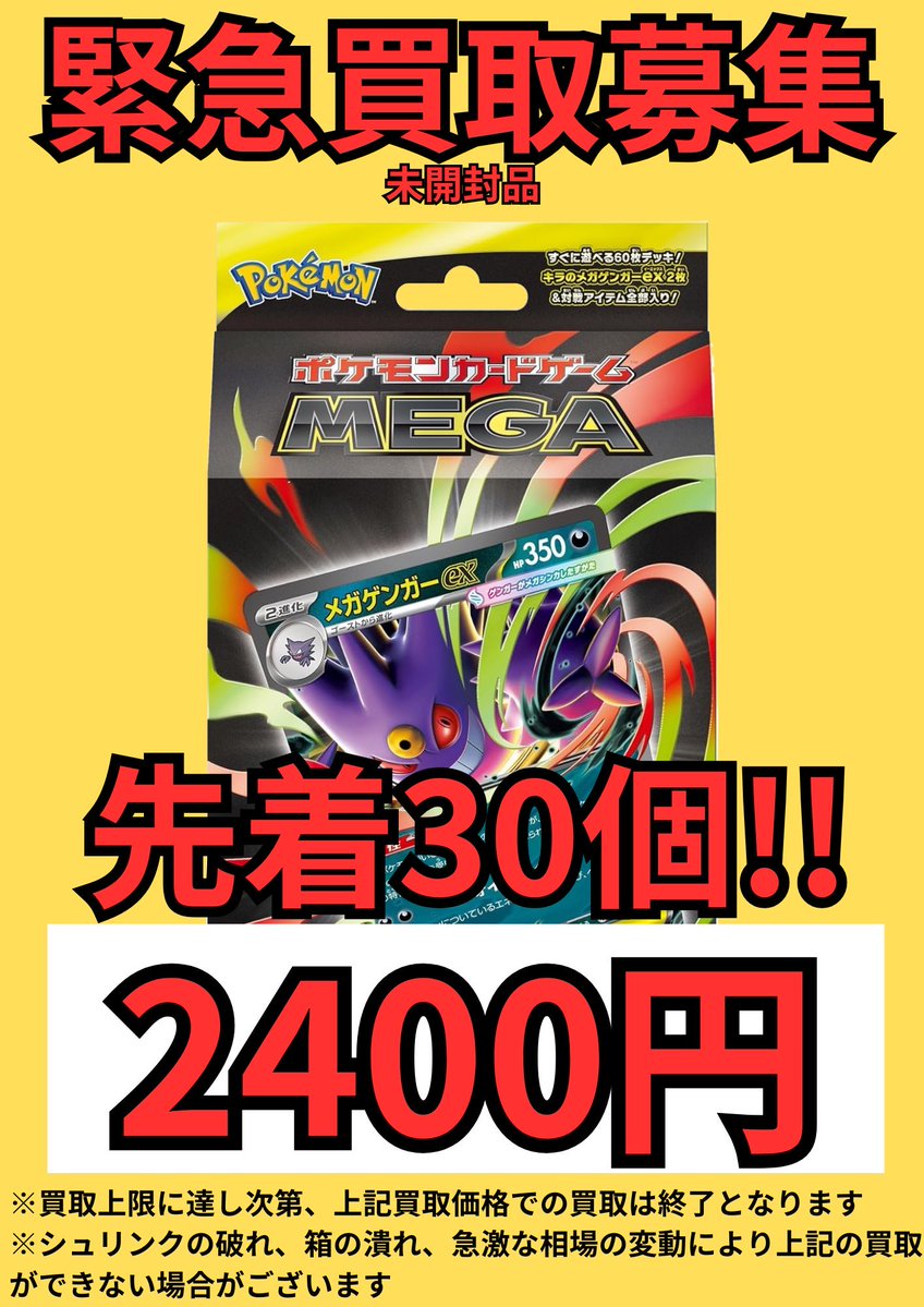 🎉明日開店より適用🎉 ⚠️先着30個限定⚠️ スターターセットMEGA