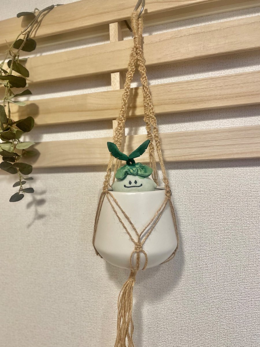 oimoya333's tweet photo. 🌱 https://t.co/67IYhuNw3y