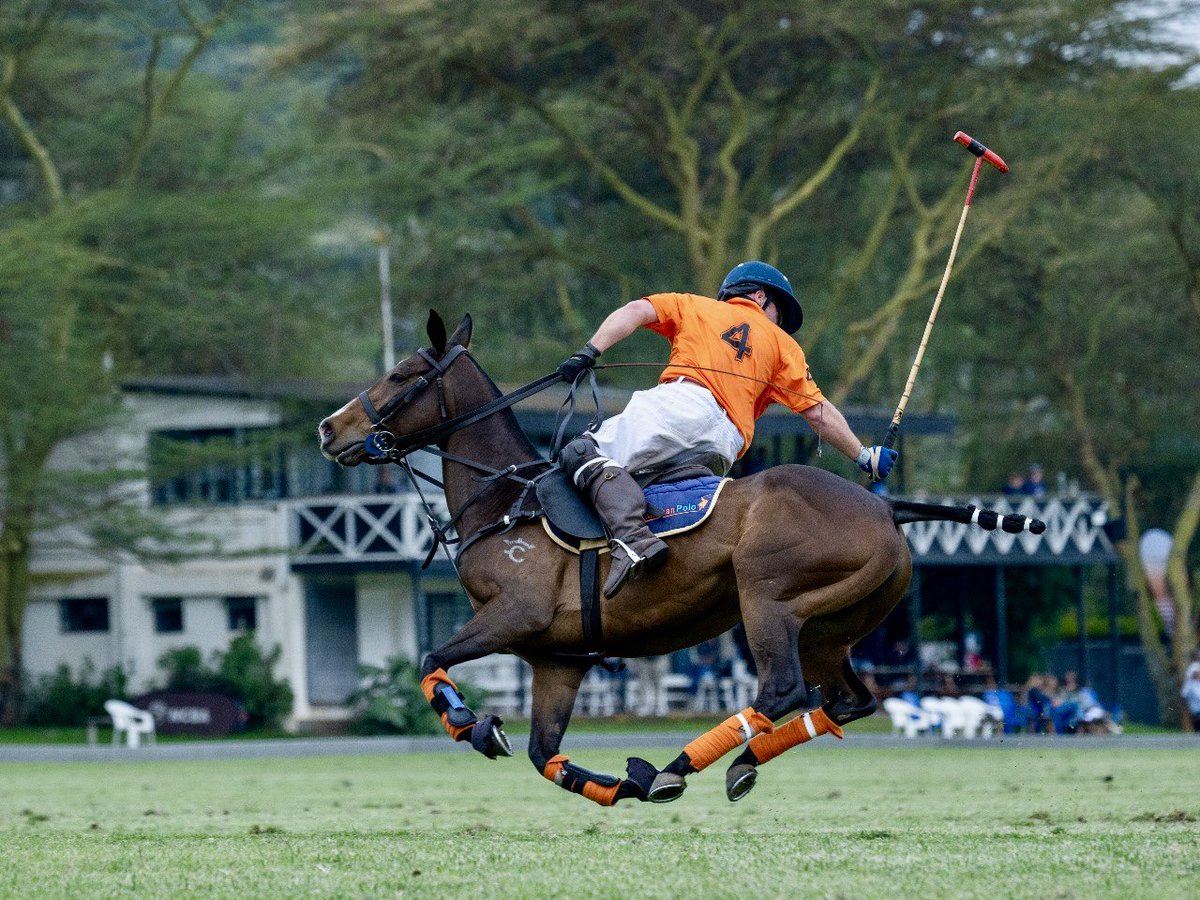 Tarra Agility Africa tweet media