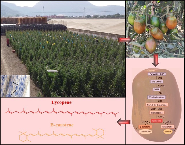 Juan Antonio Lopez tweet media