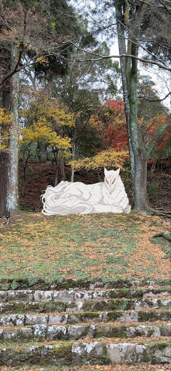 りんごミカン様*°♡ ありがとうございます😊