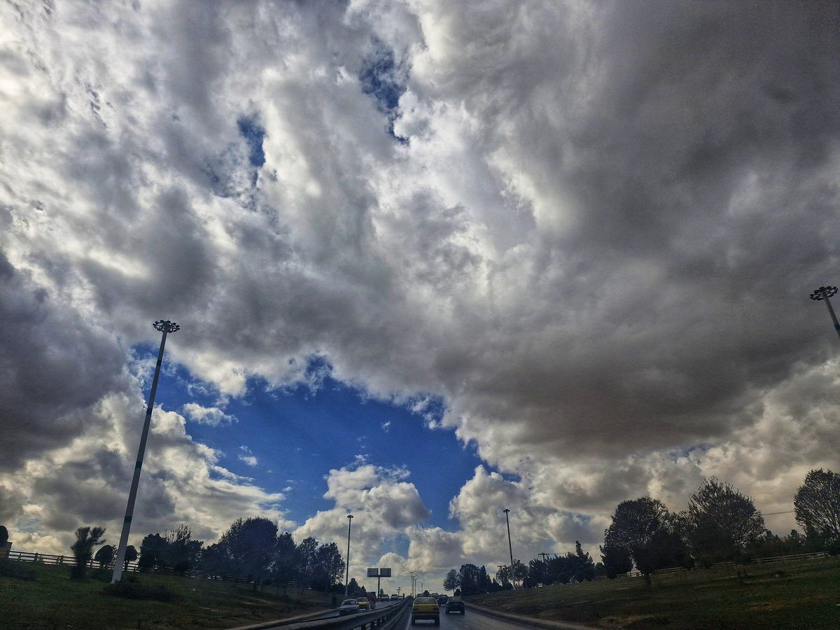 Hamidreza tweet media