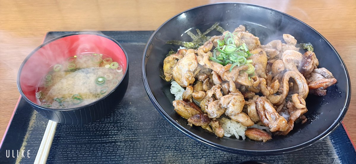 行きたかったお店、かしわの武内に行ってきた！美味しかった！！！
ただね…量が…多くて…食べかねた…😇