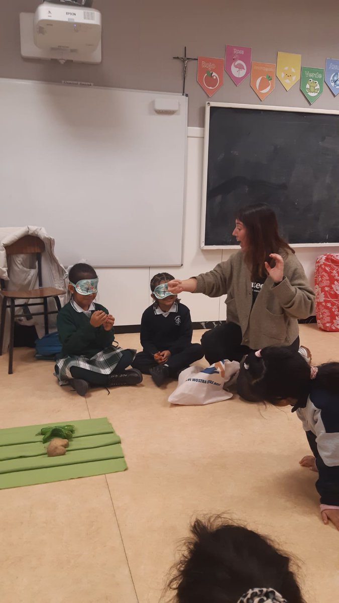 🌱Pequeñas manos, grandes semillas. La semana pasada llevamos el Huerto de los Sentidos al Juan de Vallejo, al colegio El Círculo, Jesús Reparador y María Madre. Gracias al apoyo del Ayuntamiento de Burgos. Cada semilla que plantamos hoy es un paso hacia un futuro más verde 💚🌍