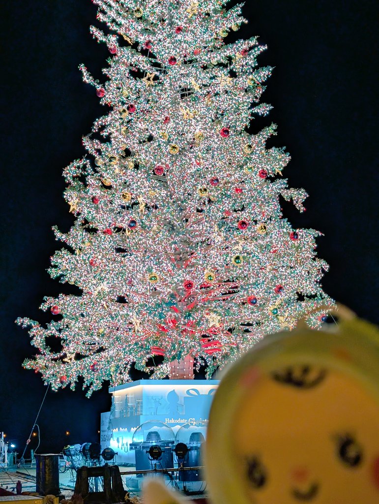 ベイエリアに素敵なツリー🎄

#OFFGUN