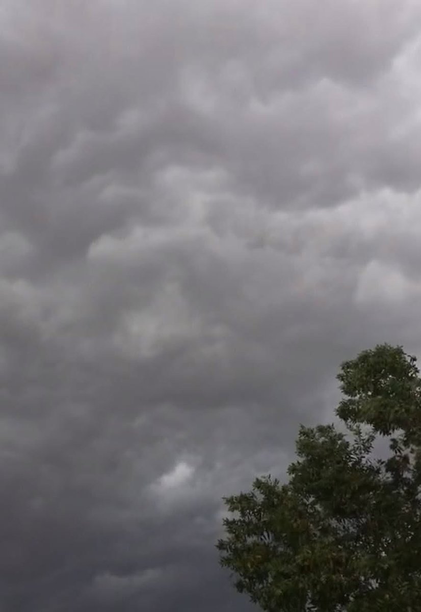 يأتي الشتاء بهدوءٍ يشبه الطمأنينة،
يحمل المطر كأنه رسالة حب من السماء،
ويعلّمنا أن الدفء ليس في المواقد،
بل في القلوب التي نقترب منها.
في الشتاء، نصغي لأنفسنا أكثر،
ونكتشف أن بعض الحنين
لا يوقظه إلا صوت المطر❤️🫰☔️