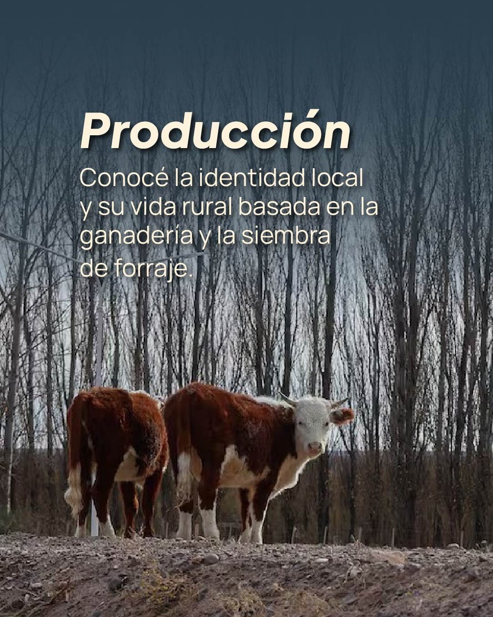 Gobierno de la Provincia del Neuquén tweet media