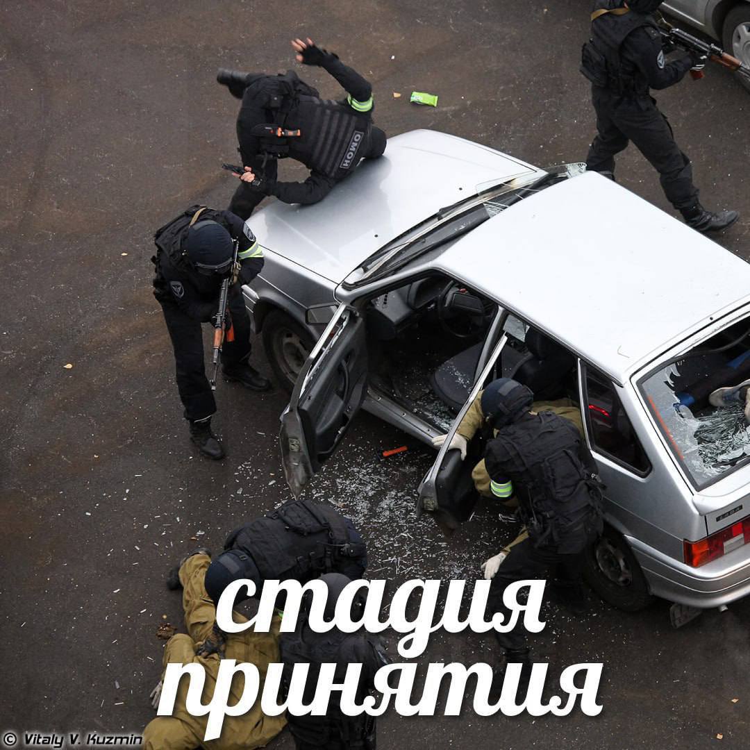 Barking News (@50pets) on Twitter photo 