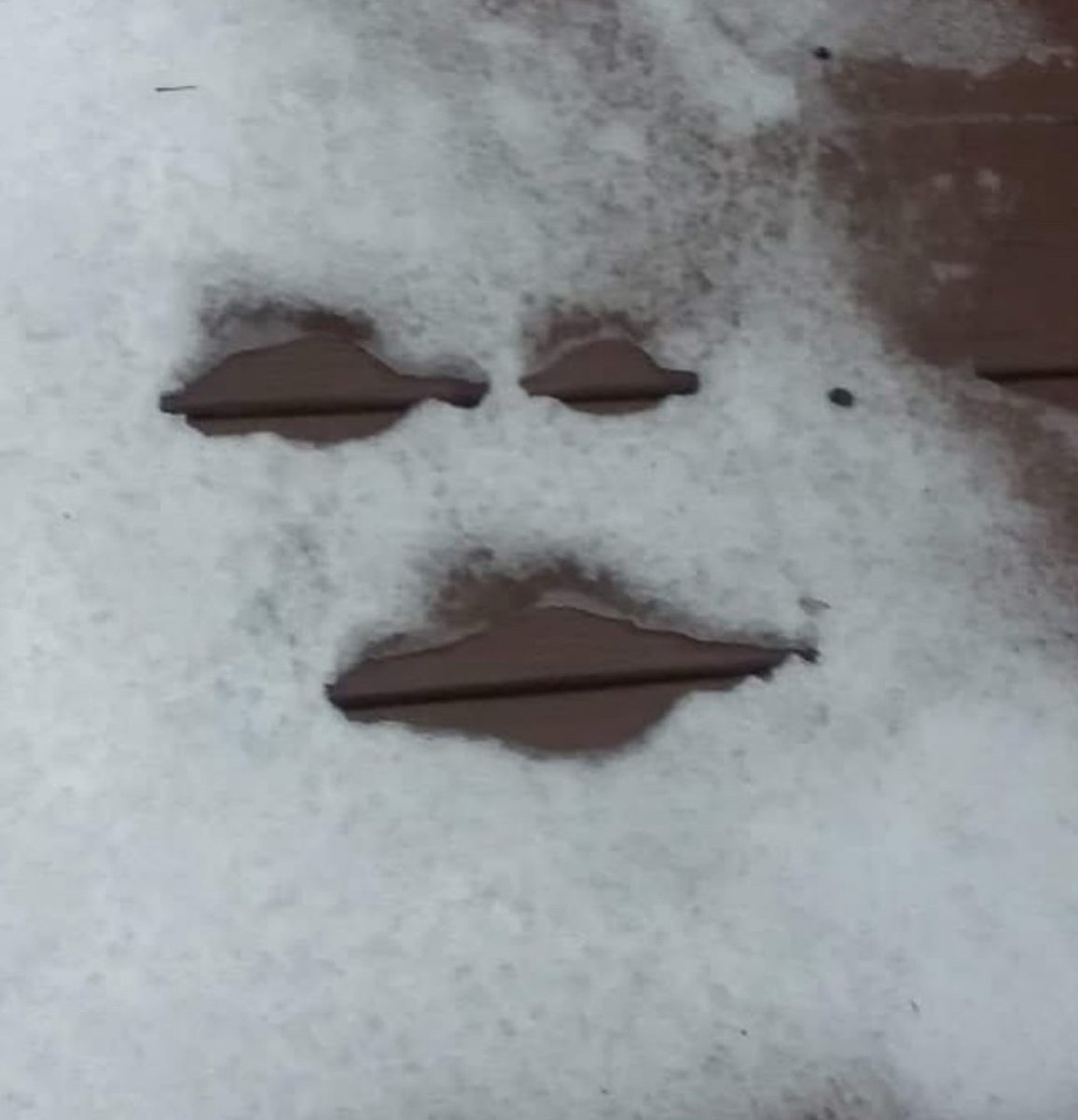 𝓒𝓮𝓬𝓮 tweet media