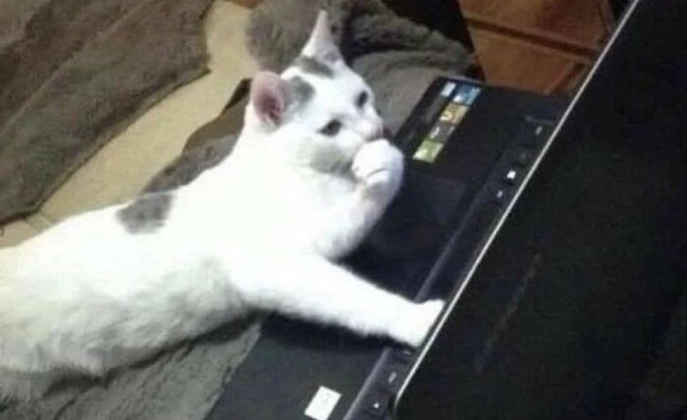 MarvisObinwa's tweet image. " What if I name every variable temp? It's technically descriptive of its purpose. Problem solved. Ship it. 🚀"
#Programming #Python #ProgrammingHumor #DevLife