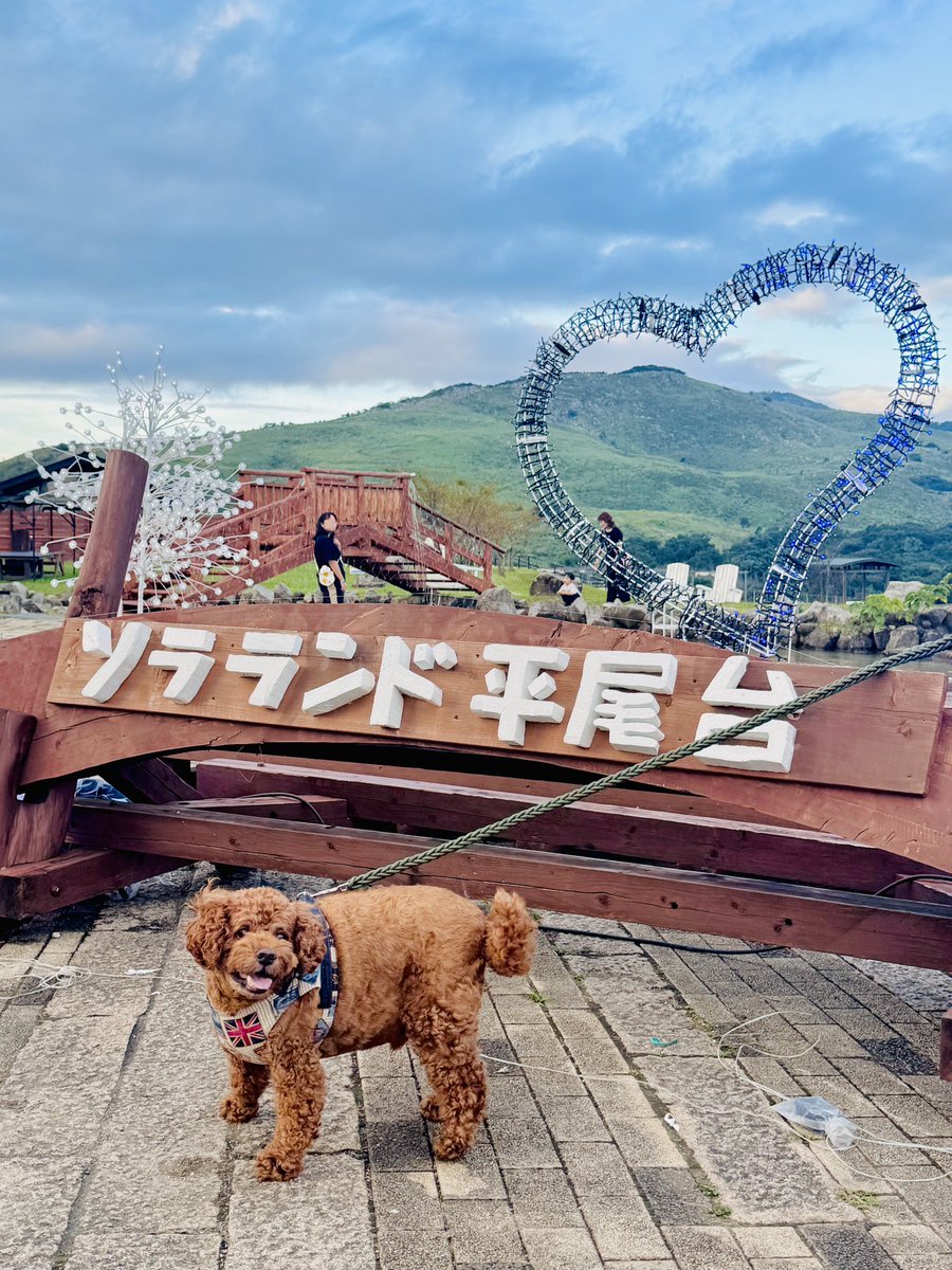 🐕わんわんコレクション🐕 (@santaro1211) / Posts / X