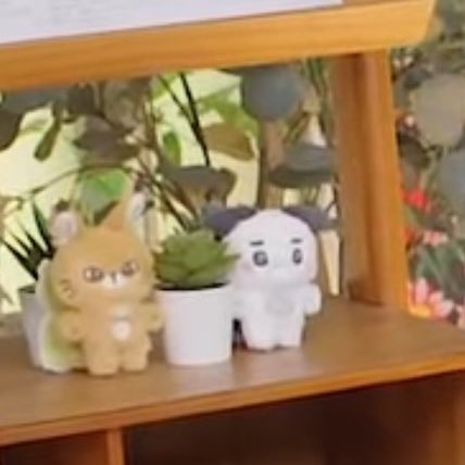 태용이 솜뭉칠 주먹밥강강지야 ㅜㅜ