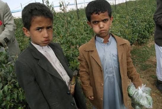 زوم ٥٦١ tweet media