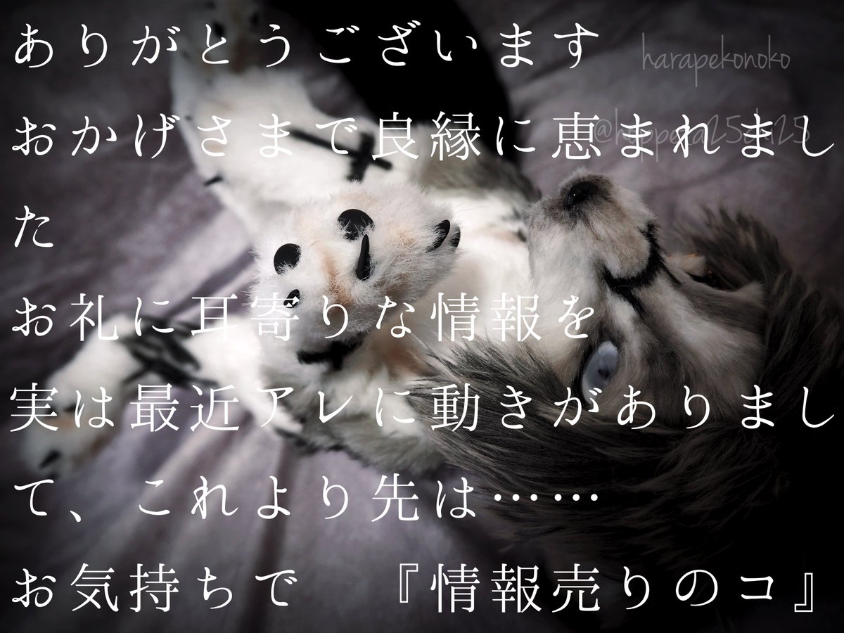 ハラペコ (@hoppeta25chi25) / Posts and Replies / X