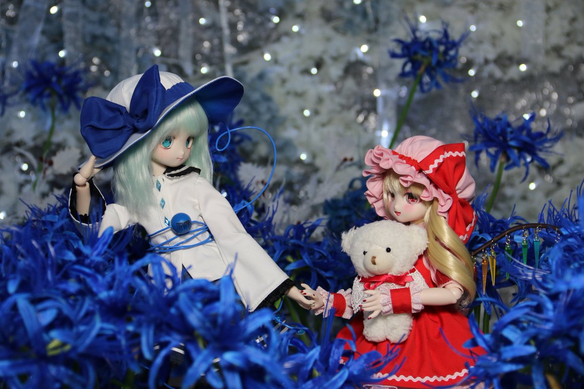 こむや 今日は一之江にあるスタジオこむや様にお邪魔させて頂きました！ 青と