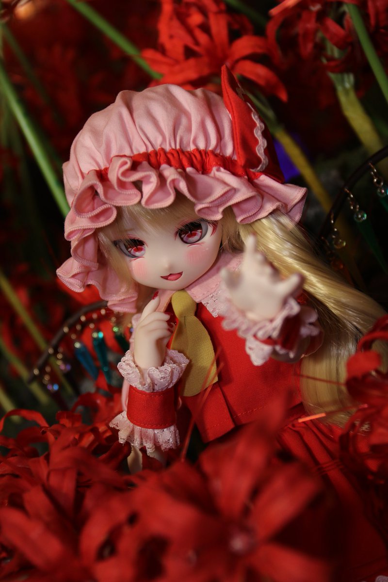 今日は一之江にあるスタジオこむや様にお邪魔させて頂きました！ 青と