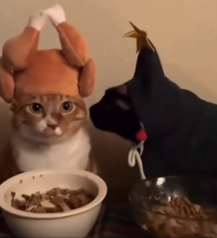 If you ask me about suffering, don’t… I’ve already been through it and know about it