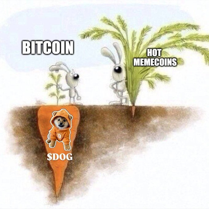 real_fantaghiro's tweet photo. When the world finally wakes up - when influencers start saying Bitcoin has memecoins, when $DOG is recognised as the top one, and when Tier 1s start listing it like hot bread - we will see fireworks.

Until then, you can front-run everyone. https://t.co/EXpZPZ2UXV