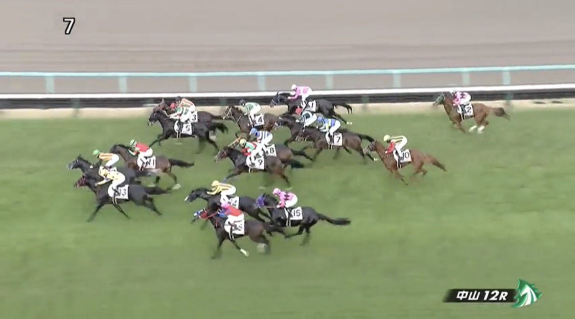 お馬さん お馬さん_racing (@iPhone6SPlusCom) / Posts / X