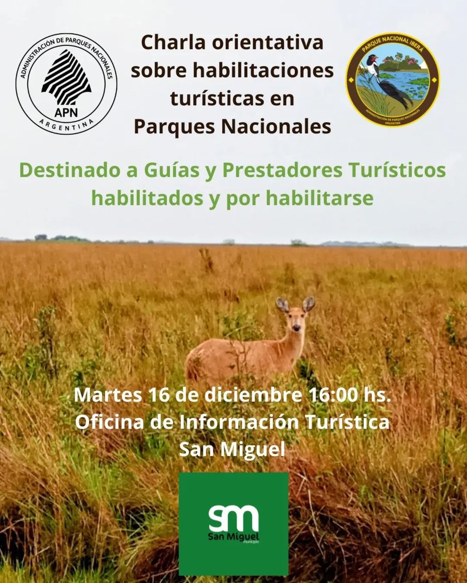 smcorrientes tweet media