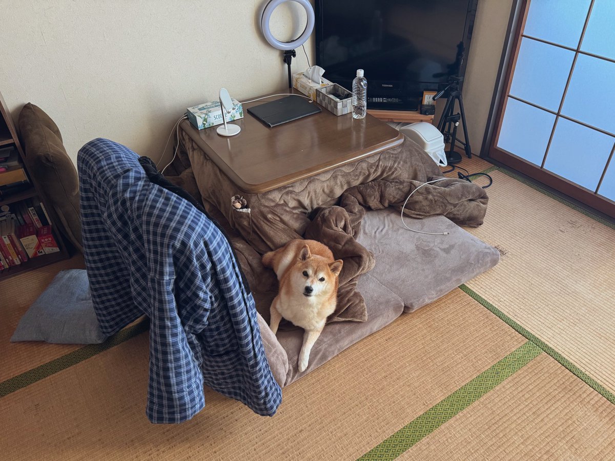 絶望ライン工 (@zetsubouline) / Posts / X