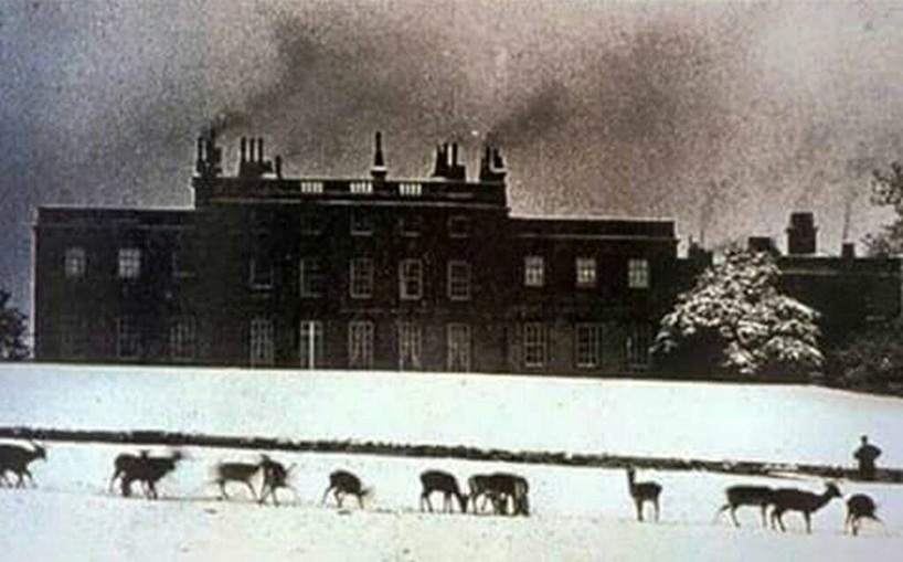 Barnsley Archives & Local Studies tweet media