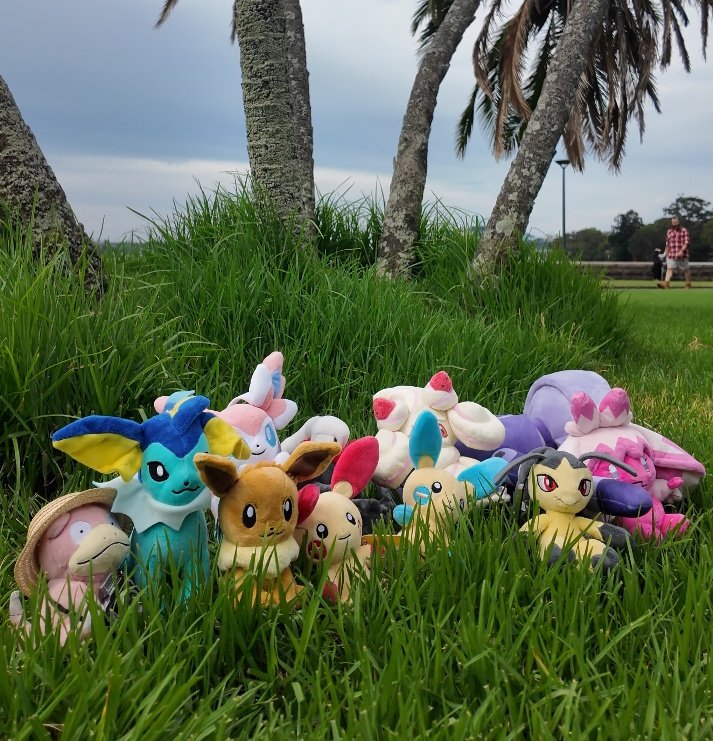 Kelosaurus tweet media