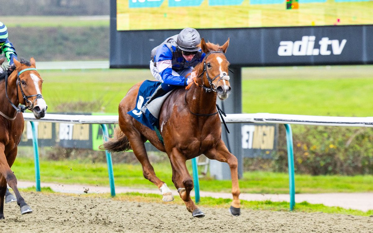 LingfieldPark's tweet image. The Read Meg Nicholls' Blog At betmgm.co.uk Nursery Handicap (Class 6)

🥇Mad Unicorn

🥈Blindfold Games

🥉Houdini Miss

Winning Jockey: @Rossaryan15 
Winning Trainer: @MKeadyRacing 
Winning Owner: Miss Southgate