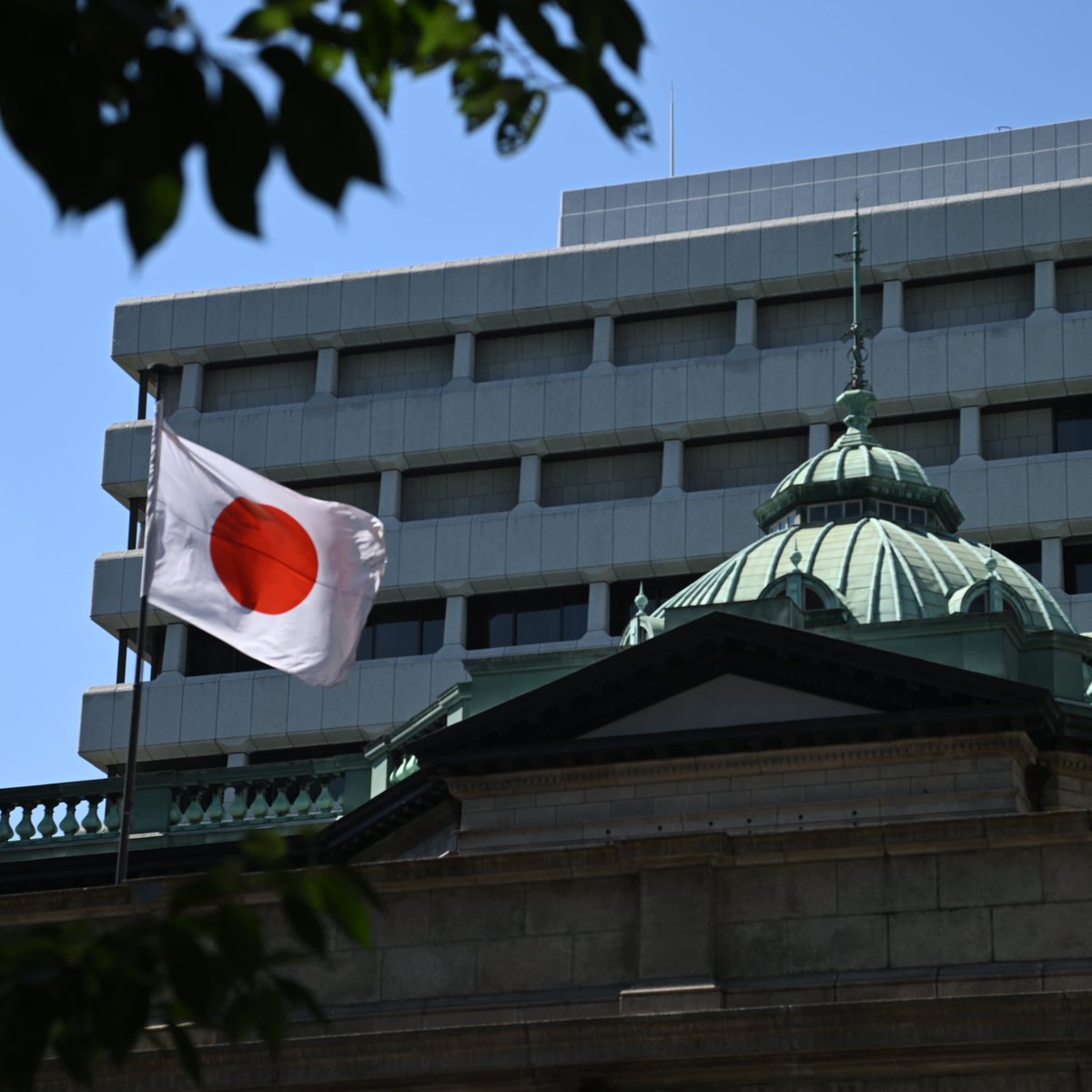 Whale Insider tweet media