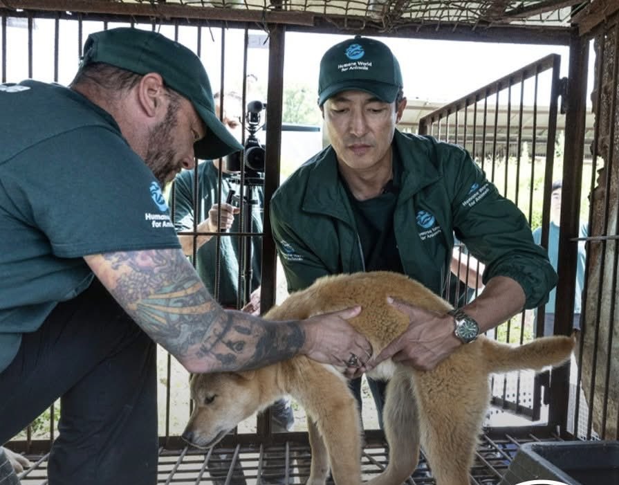 Puppies 🐶 tweet media