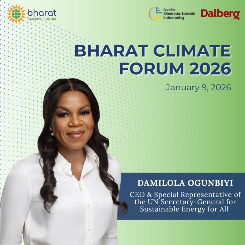 Damilola Ogunbiyi tweet media