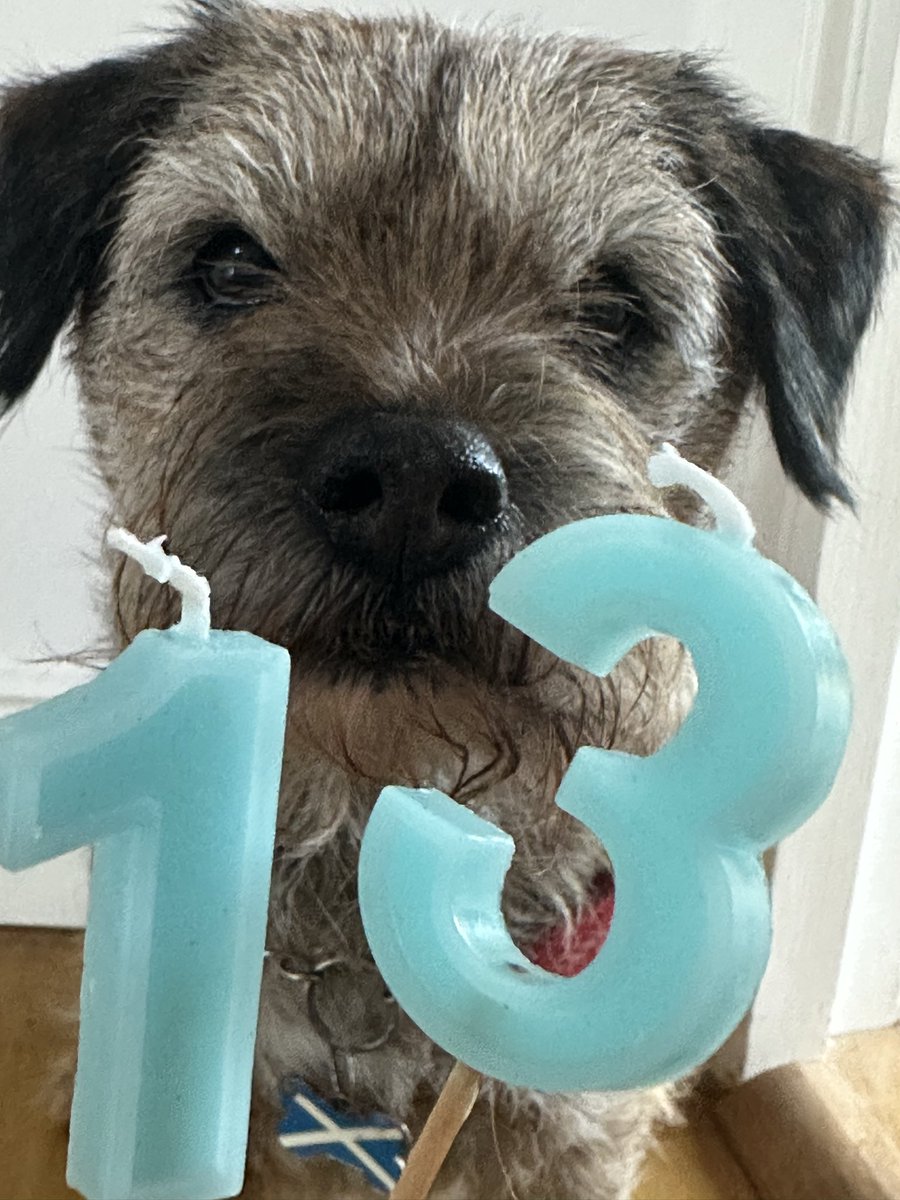 Roky Boyd tweet media