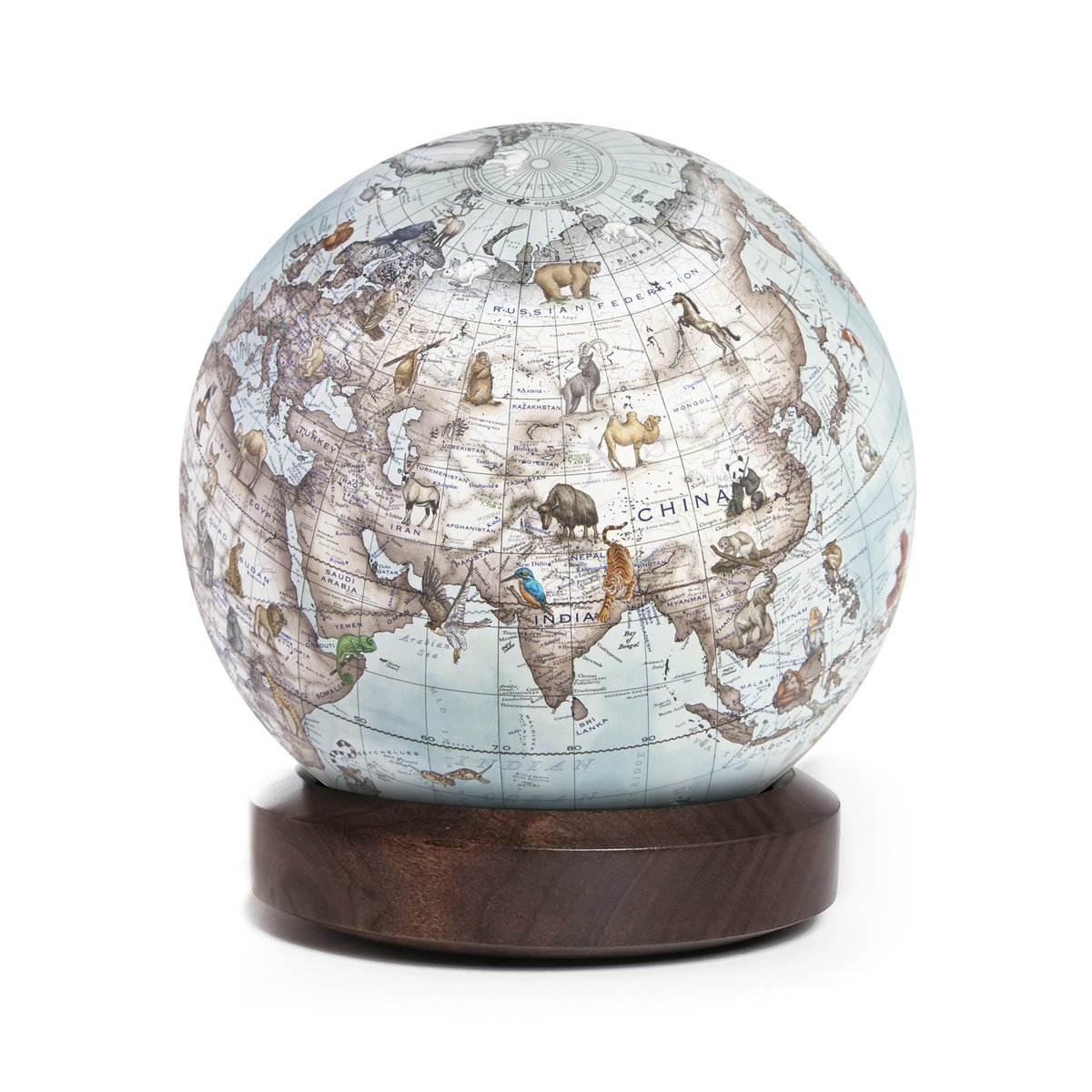 globemakers's tweet image. Taking last orders this week for Christmas deliveries outside of the UK ~ options in 12cm, 22cm, 36cm and 50cm diameter ~ gift cards also available ~

bellerbyandco.com/product/quick-… #cartography #maps #traditionalcraft
