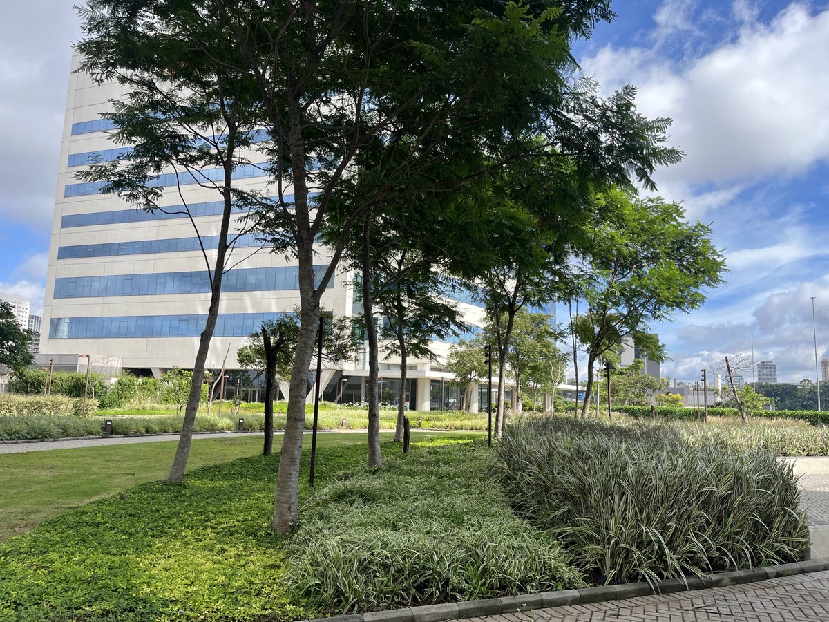 ArcadeStageTv's tweet image. O dia está bonito… bom dia