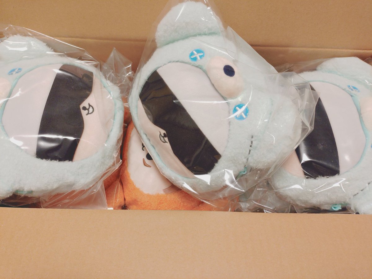 ぴょんすくん Post by ぴょん☆ on X: 🐻開封