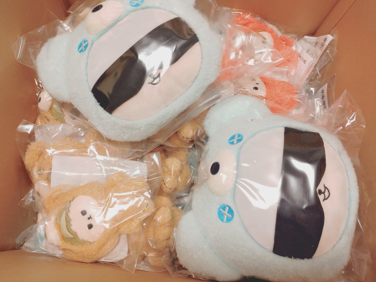 ぴょんすくん Post by ぴょん☆ on X: 🐻開封