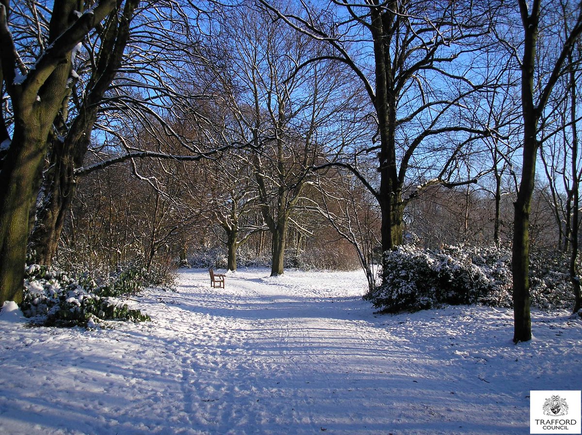 𝟐𝟎𝟐𝟓 𝑨𝒓𝒄𝒉𝒊𝒗𝒆 𝑨𝒅𝒗𝒆𝒏𝒕 𝑪𝒂𝒍𝒆𝒏𝒅𝒂𝒓 
Day 22
Worthington Park, Sale in December 2010. 
Trafford Local Studies collection, cat. ref. TL9908
#sale #park #christmas #adventcalendar #advent