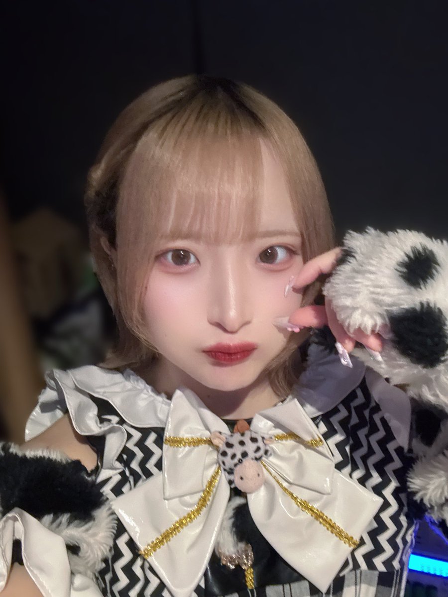 今日のゆうちゃんをみてから寝ること！😾