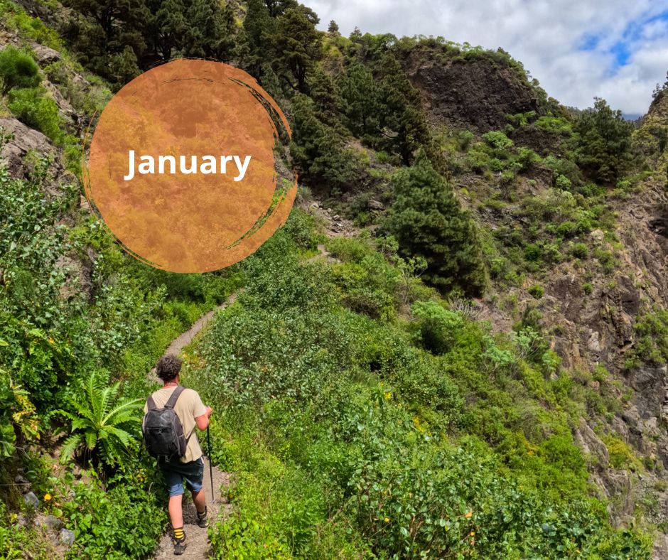 The year dawns with new light, air, and colours.

January smells of horizons yet to be discovered, of silence broken by the song of a bird you've never heard, of paths inviting the first steps of a new adventure 🌿

Will you come and breathe in the beginning? #isladelapalma