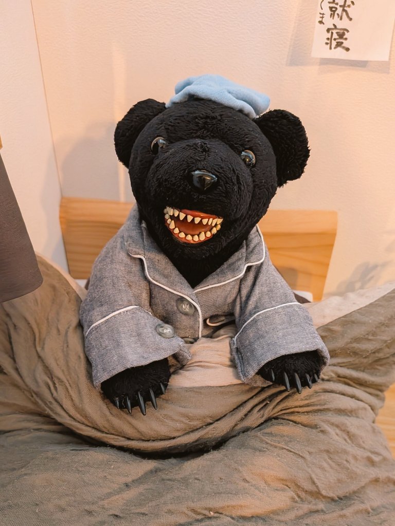 ねむれないくま(ほぼ日) (@nemukuma_1101) / Posts / X