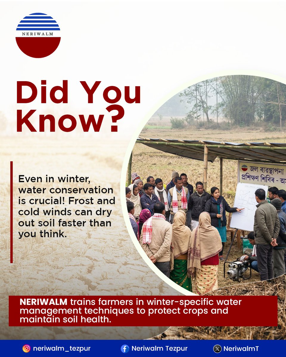 NeriwalmT's tweet photo. You Know?
Even in winter, water conservation matters. Frost and cold winds can dry out soil and stress crops.
At NERIWALM, we train farmers in winter-specific water management practices to protect crops and maintain healthy soils.
#NERIWALM #WinterFarming #WaterConservation https://t.co/9bUeAkezVv
