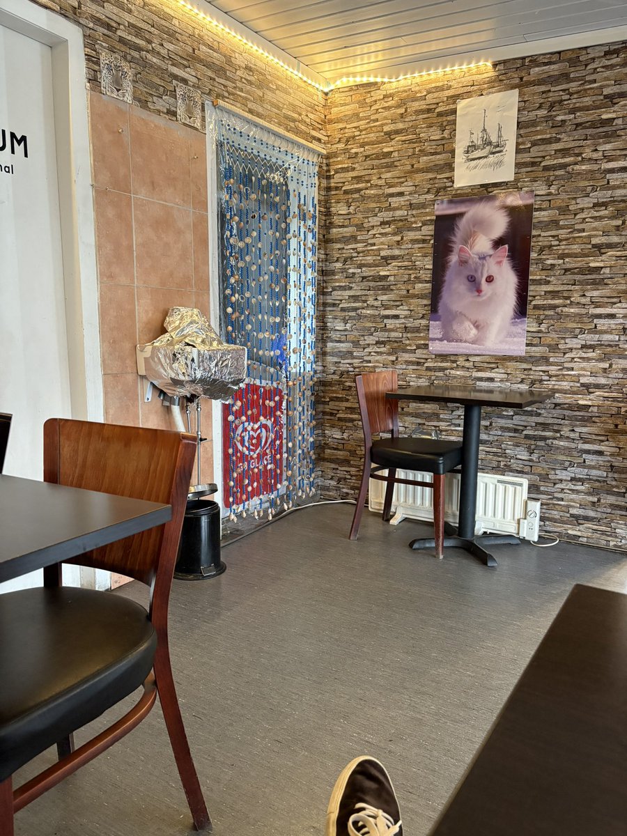 Så här ska en hörna inne på en grillkiosk se ut. En poster med en enorm katt och ett handfat inlindat i aluminiumfolie. Facit.