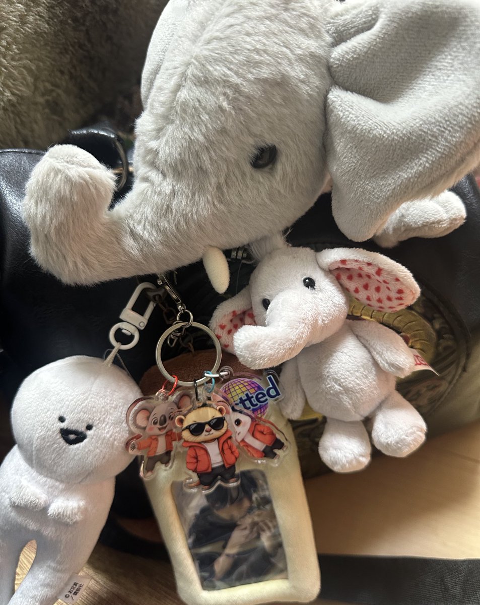 ゾウさんだぞう🐘👩‍🍼 (@zou_mw_kima) / Posts / X