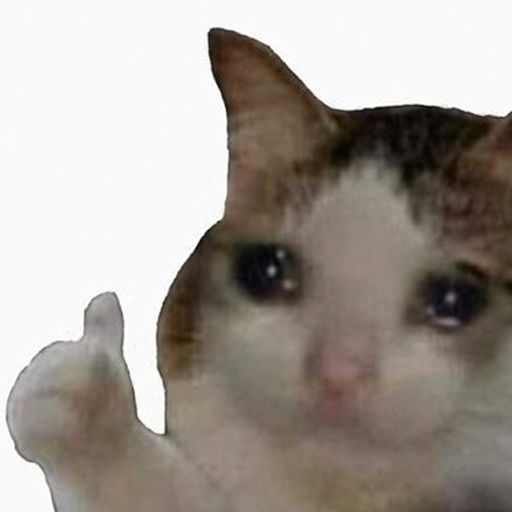 rektvapor's tweet photo. The "ok crying cat" isn't just a token, it is a tier-1 reaction meme.

Official 𝕏 - @okcryingcat
Official 🌐: https://t.co/6etzXhqjWG ($ok memes, meme maker & pfp maker)

Here is my thesis for $ok:

- this is not a one-week trend; it is constantly reused across months and years.
- infinitely memeable
- it is less about reposting a specific image and more about people deploying it as a universal reply.
- We are the backbone of internet culture.

CA: F1h8SDKjX6P3pTNzuJYv1VhrEjbtMh76UZYRwiXjpump