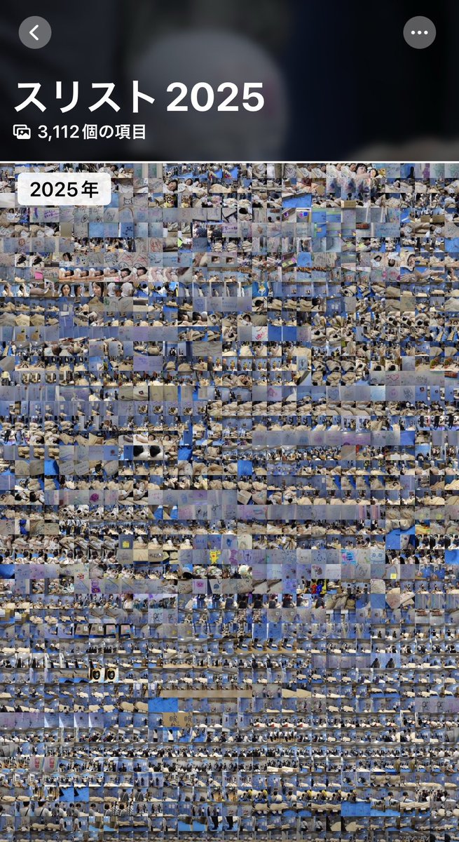 これまでの作品をポートフォリオに
まとめる時期に入ったのですが

スリーピングストライキの写真の
あまりの多さに絶望しかけている

記録写真が多いのは
素晴らしいことなんだけどね

写真整理の面においては
いやはや

＃藝祭 ＃藝祭2025
＃スリーピングストライキ