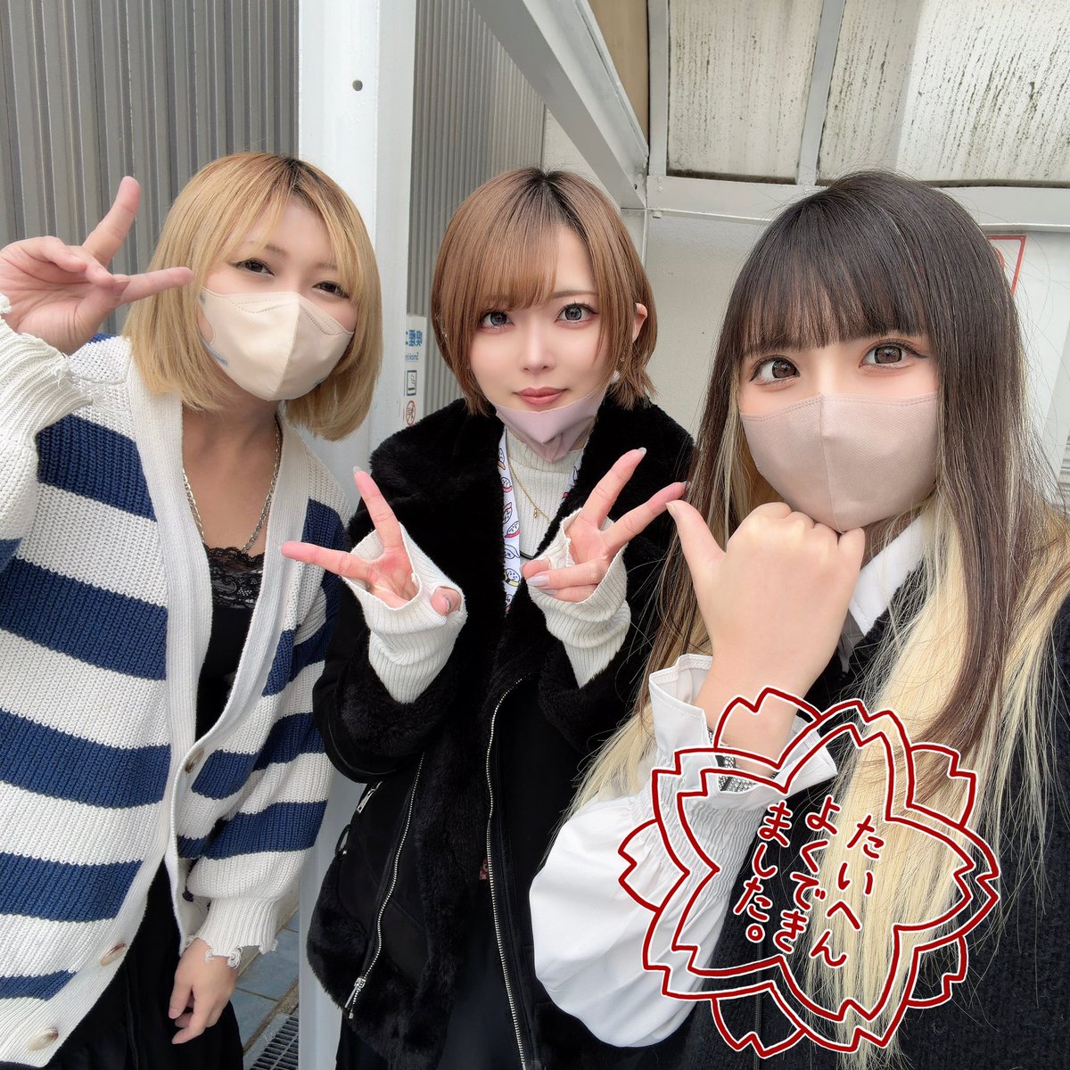 ちぇしゃ🃏💜 (@suro222cat) / Posts / X