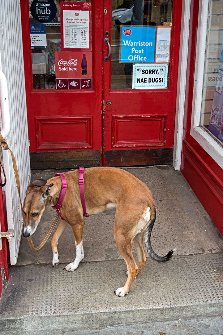 Alan Wilson tweet media